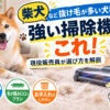 柴犬など抜け毛が多い犬種に強い掃除機はこれ！現役販売員が選び方を解説